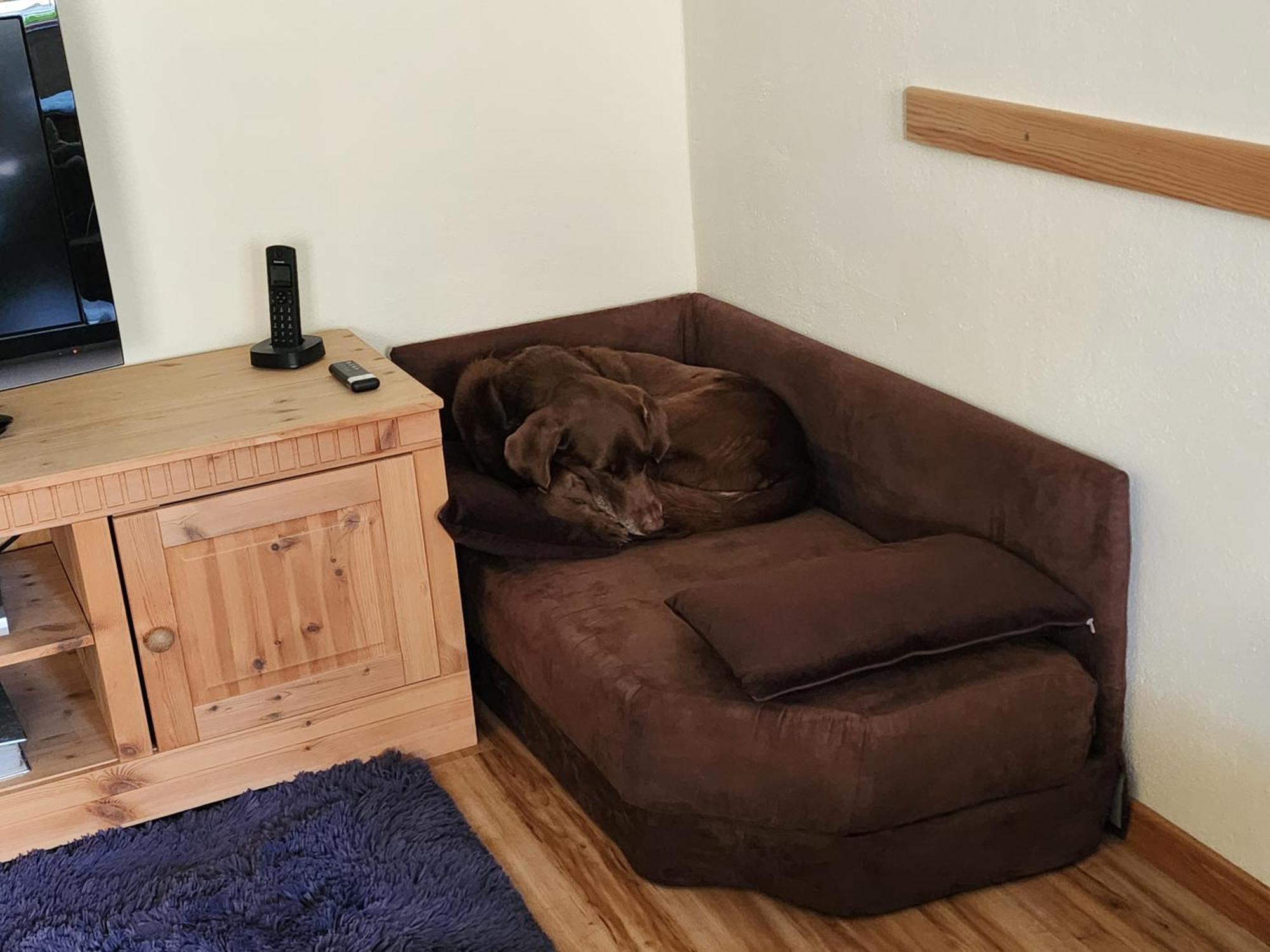 Ferienwohnung Baer Vohenstrauss Εξωτερικό φωτογραφία